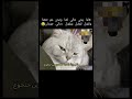 خالك يلي اكل ورثة امك و العيلة كلها اكيد مارح يجوع Viral حالات واتس Explore Shorts Short 
