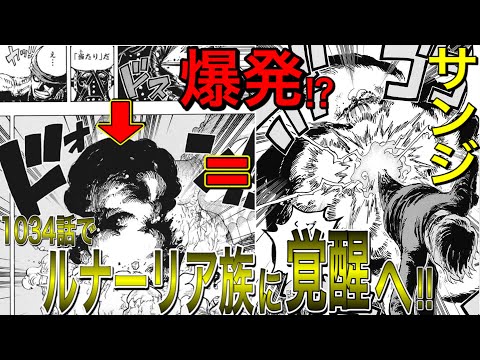 ワンピース1035話ネタバレ確定最新速報 ゾロ大活躍しキングの正体も発覚 漫画やアニメに興味津々