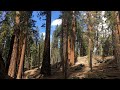 Sequoia National Park Highlights
