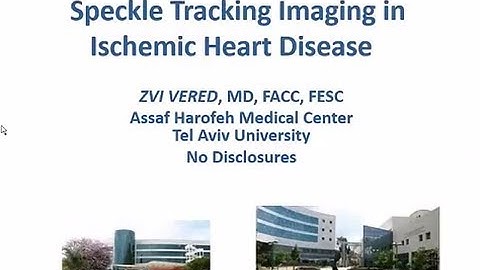 Speckle Tracking Echocardiography in the Assessment of Ischemia,  Reperfusion and Viability