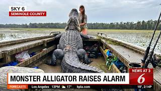 Florida Hunter Captured A Colossal Monster Alligator And Experts Feared It Broke The State Record!