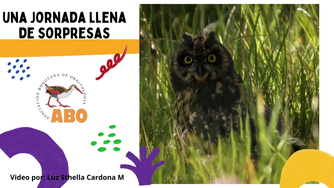 PAJAREADA ABO, ECOPARQUE SABANA, OCTUBRE 30 DE 2022
