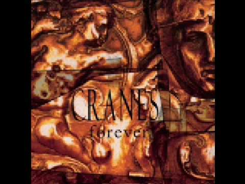 Cranes - Jewel