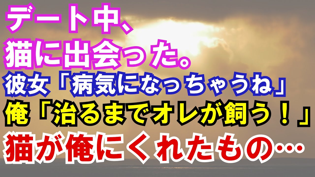 【感動】デート中、猫に出会った。彼女「病気になっちゃうね」俺「治るまでオレが飼う！」猫が俺にくれたもの...