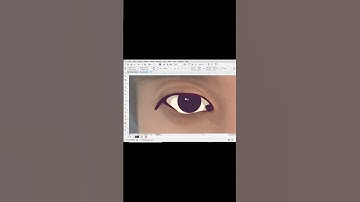 Belajar Tracing Mata dan Alis Untuk Vektor Wajah di Coreldraw