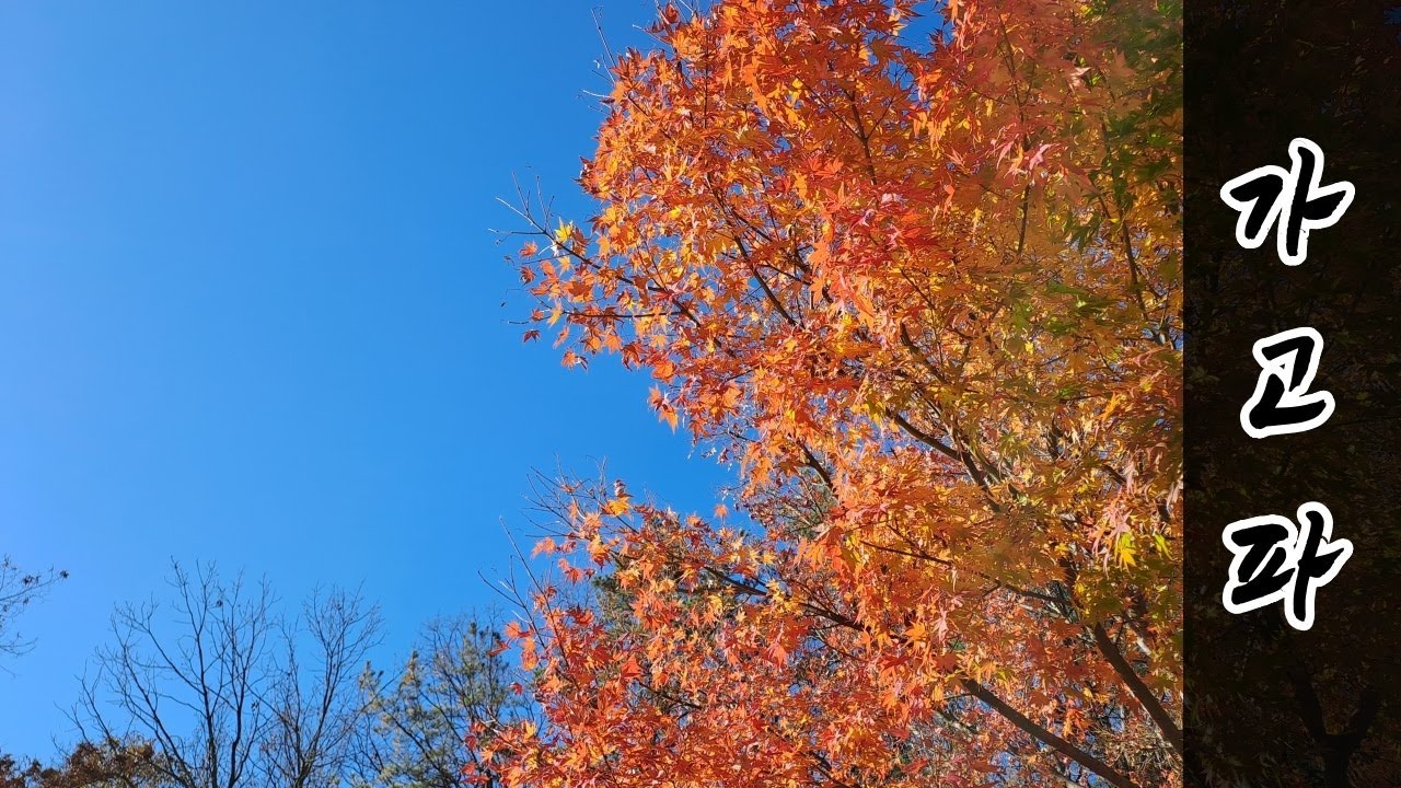 #가고파(오카리나) #가곡