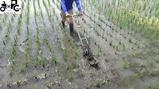 水田中耕除草機を紹介する