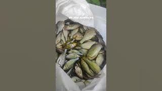 sesok mancing tangal 14 januari 2024