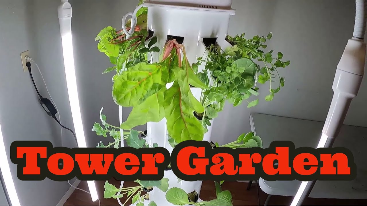 Planting our Tower Garden YouTube
