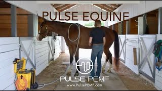Pulse PEMF - Pulse Equine | PEMF Equine Pulsing Session | Horses | Horse Owner | Cellular Health