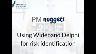 Famous PM Nugget- Using Wideband Delphi for risk identification Net Worth