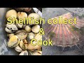 Coastal Foraging - Shellfish Beach Clean and Cook - Clams, Scallops, Cockles and more!