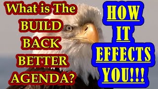 Agenda Build Back Better! Who Will it Impact? You are the target!! by Serious Survivor 1,631 views 2 years ago 15 minutes