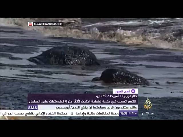 فقرة اهم الصور 20 5 2015