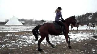 Obraz 022.avi