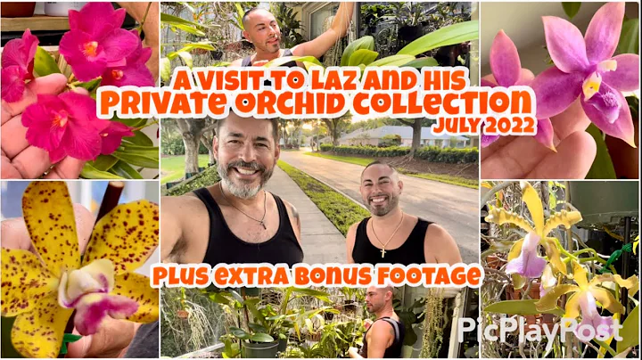 Let’s visit Laz! He shares his orchid collection. This is my 3rd time around and it was a charm. - DayDayNews