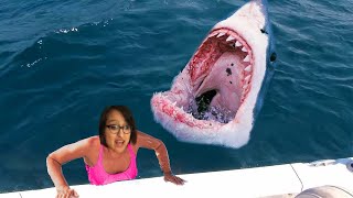 Aphmau fell into the shark tank then..