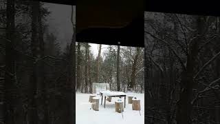 Its Snowing | 17th February 2024 | Shorts