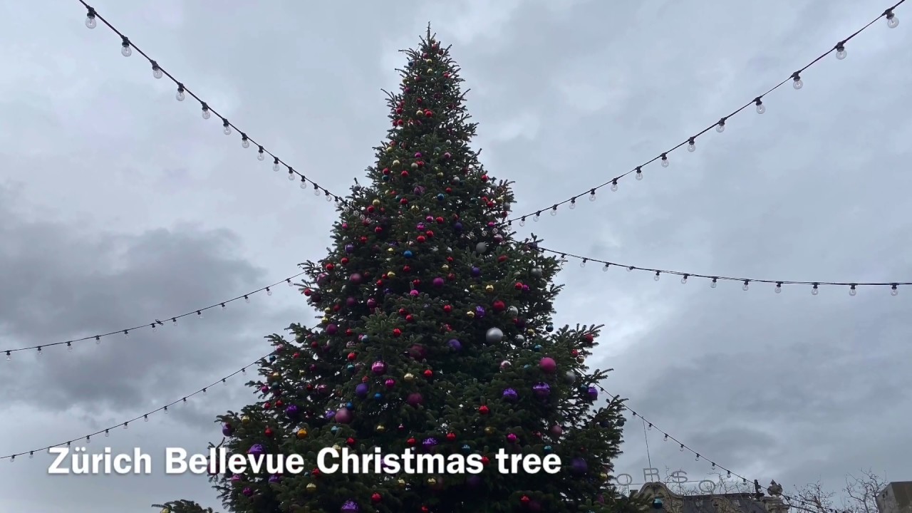 Swiss Christmas Trees YouTube