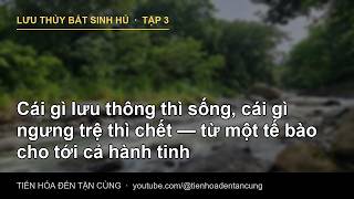 Cái gì lưu thông thì sống, cái gì ngưng trệ thì chết — từ một tế bào cho tới cả hành tinh | LƯU THỦY