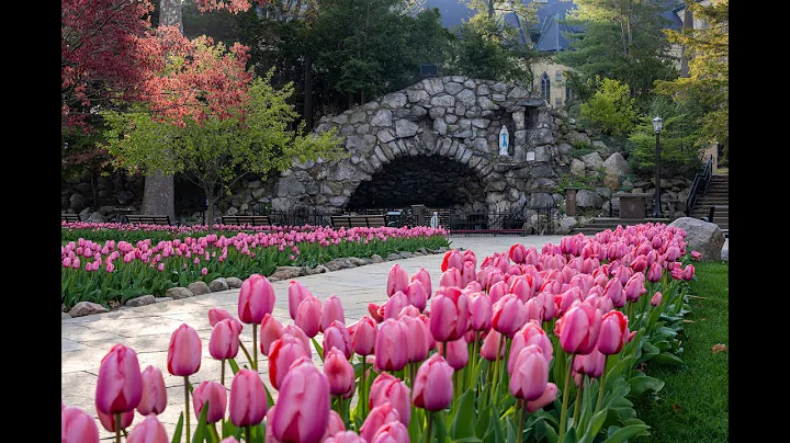 May Rosary at the Grotto of Our Lady of Lourdes