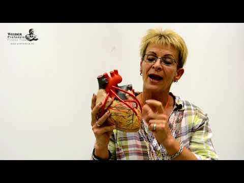 Videó: Hogyan működnek a szívóhorpadás lehúzók?