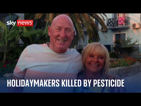Egypt: british holidaymakers killed by pesticide to exterminate bed bugs