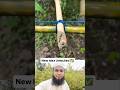 💡 Creative DIY Idea 🔥 | Viral Shorts #shorts