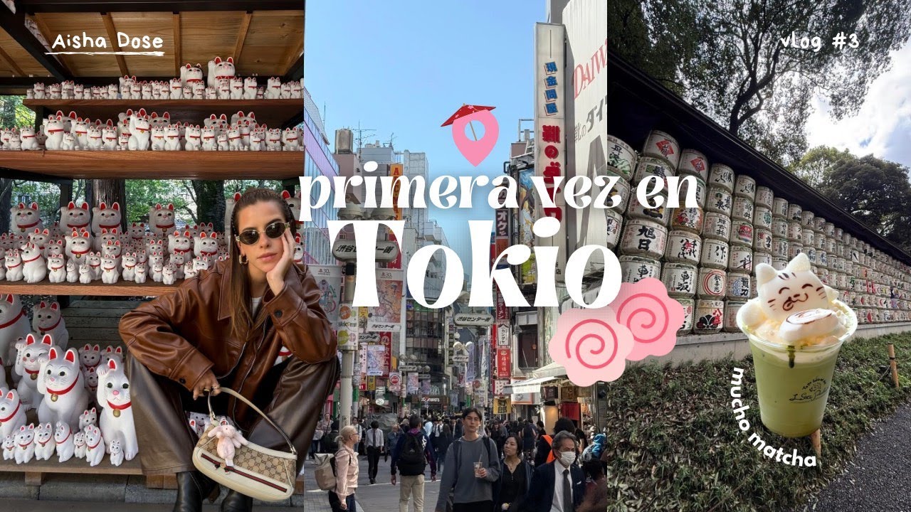 Recordé que tengo libre albedrío y me vine a Japón sola⛩🏮pt.1/ shopping, gatos, mucho ramen y matcha
