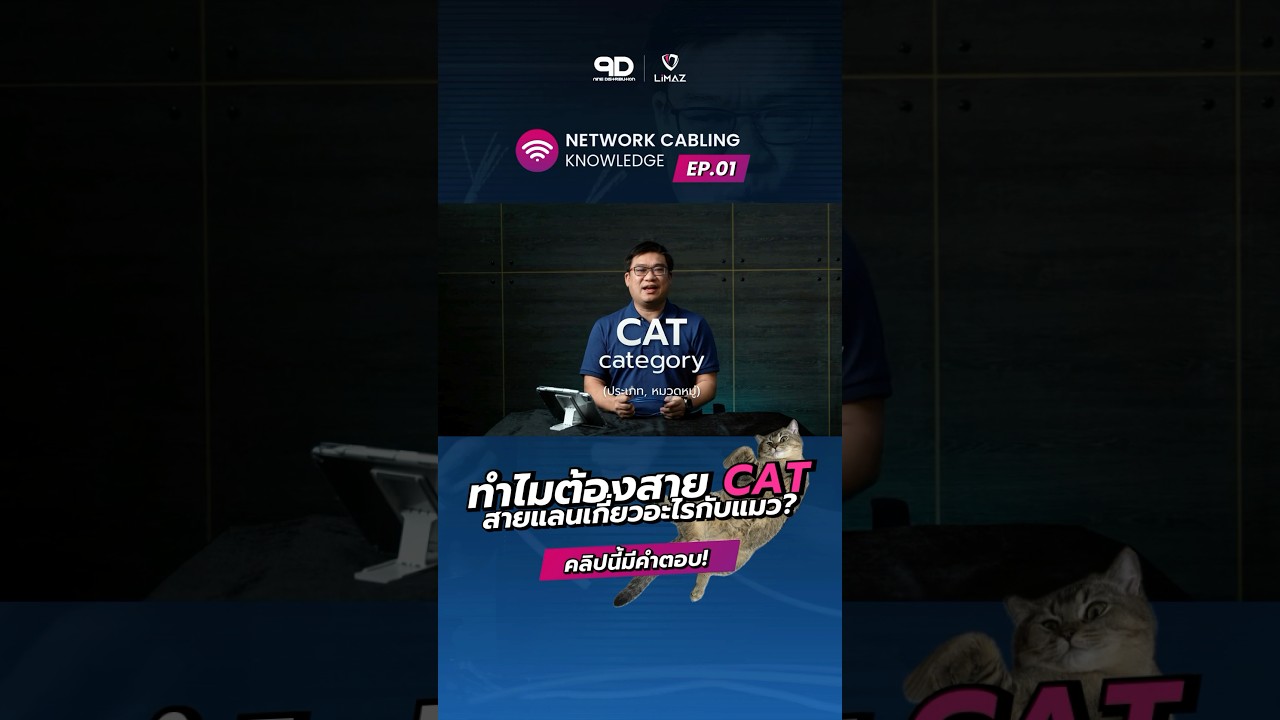 ทำไมต้องสาย CAT สายแลนเกี่ยวอะไรกับแมว? 🤔 #network #engineering