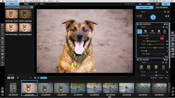 ON1 Short Clip – New Global Presets