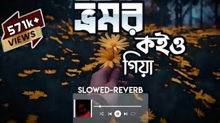 Video thumbnail of "Vromor Koiyo Gia -ভ্রমর কইও গিয়া (Slowed & Reverb) Bangla Lofi Songs | Abir Hossain"