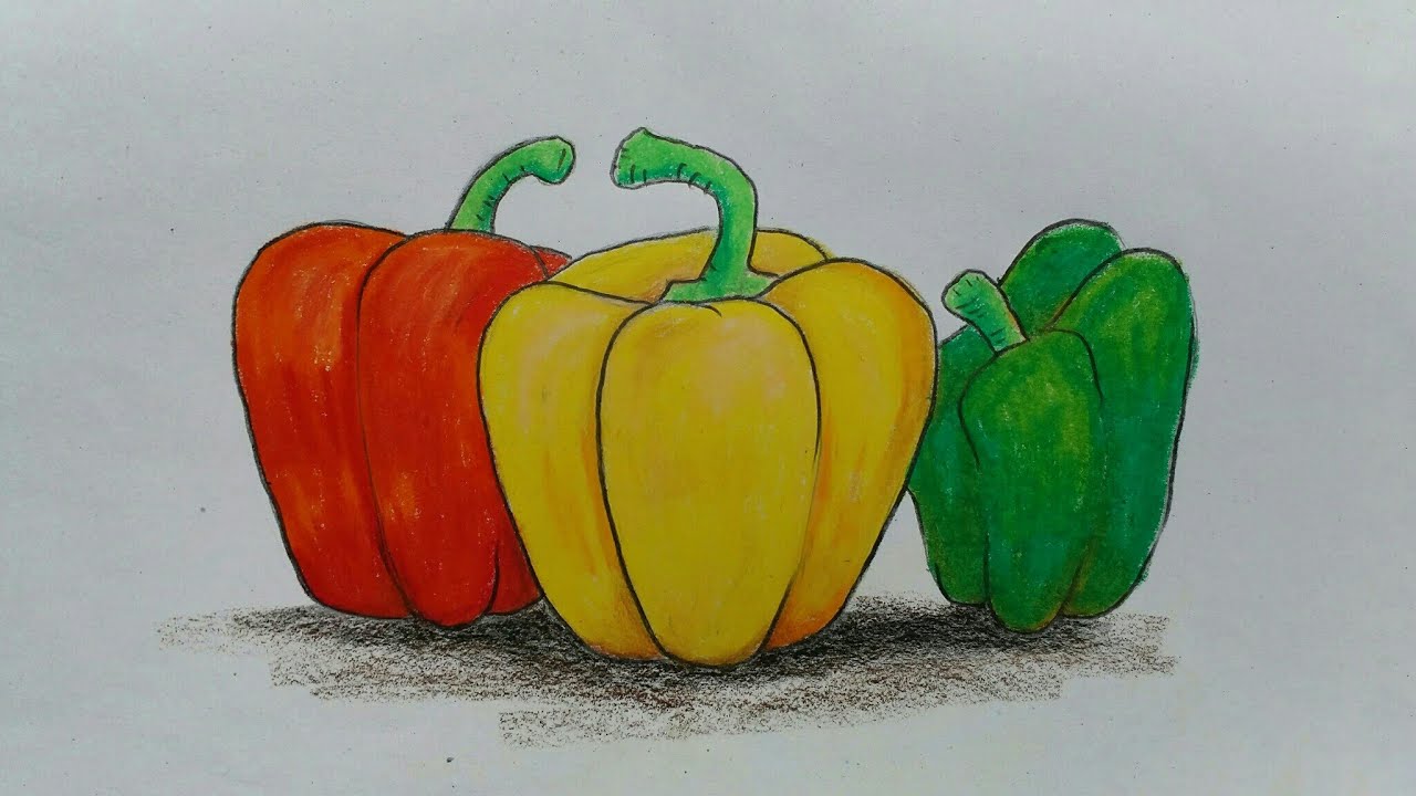How To Draw Capsicum Easy YouTube how-to-draw-capsicum-easy-youtube