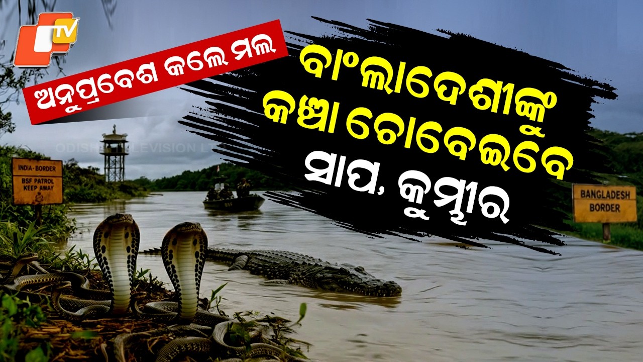 Special Story: Snakes & Crocodiles to Guard India–Bangladesh Border? BSF’s Bold Plan