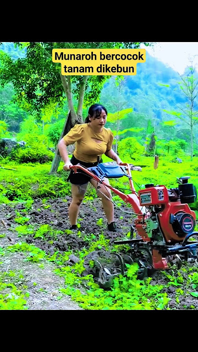 munaroh rajin bercocok tanam setelah menjadi janda