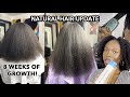 NATURAL HAIR UPDATE  FT. The UNBRUSH | NEW PRODUCTS, NEW ROUTINE, &amp; HAIR GROWTH TIPS + NO OILS?!