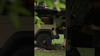 Forest Camping Vibes: Jeep Life, Dog, and Delicious Outdoor Cooking!