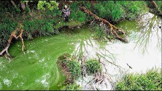 В ЭТОЙ ЛУЖЕ ПОЛНО РЫБЫ! ВОТ ЭТО КЛЕВ! ЛОВЛЯ КАРАСЯ  НА ПОПЛАВОЧНУЮ УДОЧКУ.