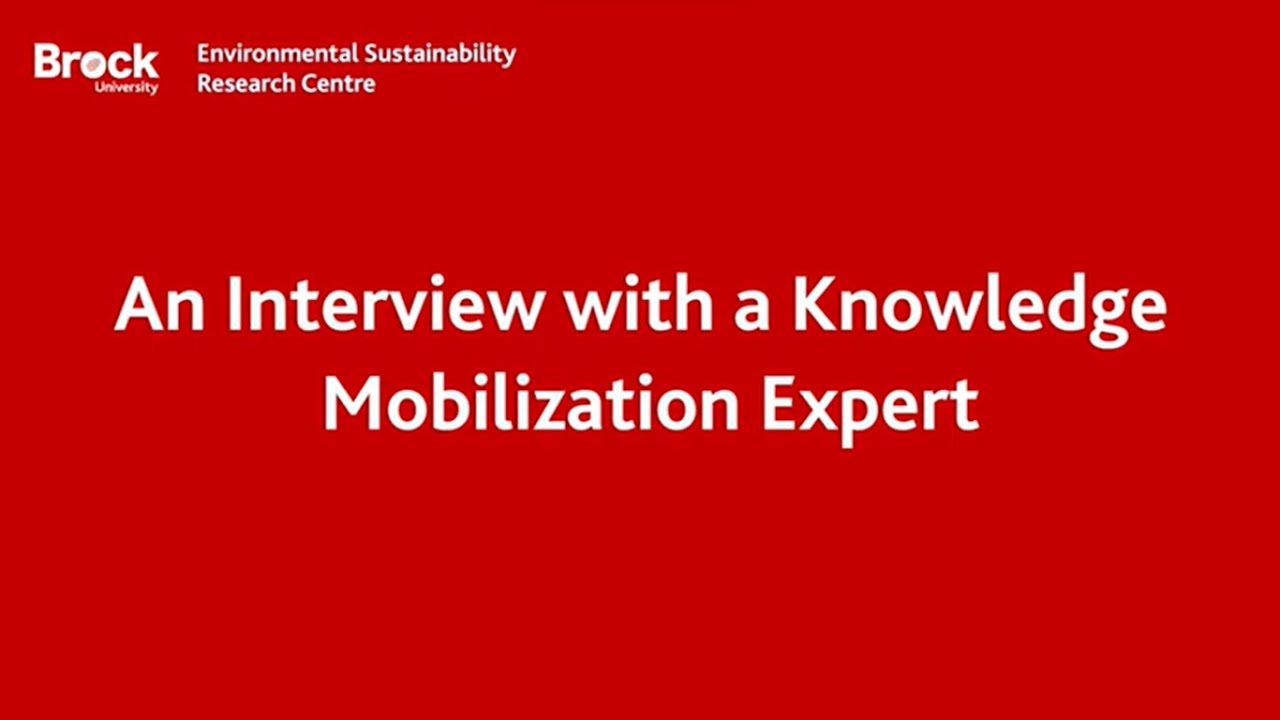 An Interview with a Knowledge Translation Expert - YouTube