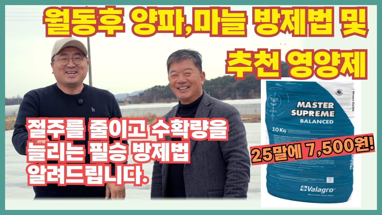 EP.343 모르면 큰일나는 월동후 양파,마늘 방제법및 필수 추천 영양제 [연산농약사]