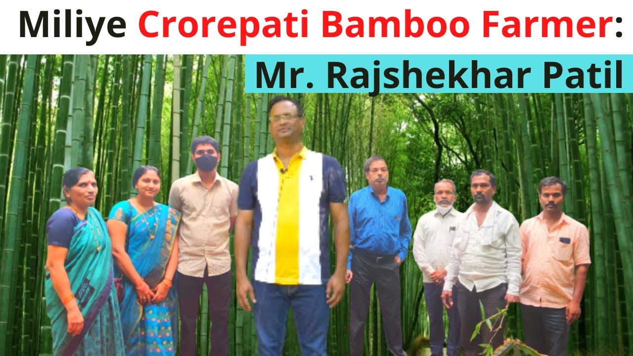 Bamboo farming// Mr Rajshekhar Patil// in hindi with eng subtitles//