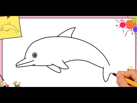 Video: Bir Yunus Nasıl çizilir