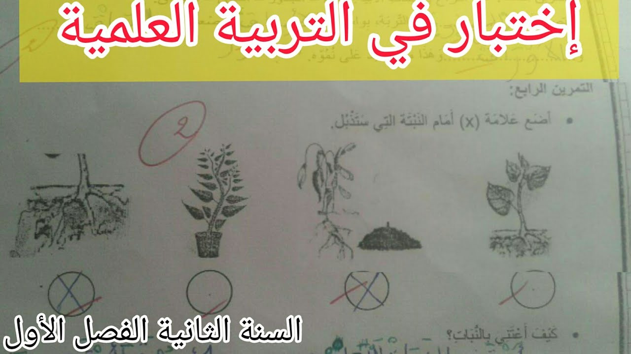 الفصل الأول السنة الثانية إبتدائي