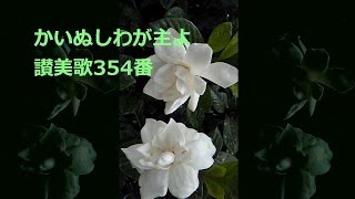 【讃美歌】有名な賛美歌・聖歌。おすすめの讃美歌・聖歌
