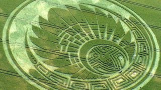 Birds and Feathers represent Divine Spirit – Crop circles