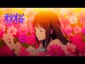 秋桜 AmenoTikai