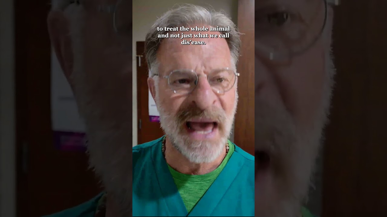 Integrative Medicine is the future