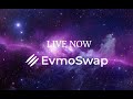 Изучаем платформу EvmoSwap