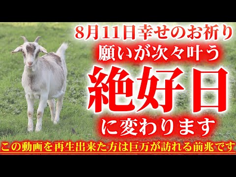 幸せを呼ぶ可愛いヤギたちです。8月11日の朝の浄化祈願