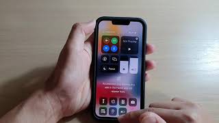 iPhone 13/13 Pro: How Turn On/Off Cellular Data screenshot 4